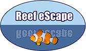 Return to Reef Escape LLC Home